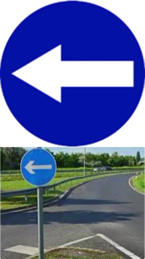 Understanding Regulatory Driving Signs for Learners