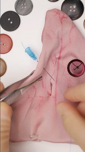 Cauliflower Ear Prevention Surgery #funfacts #vet #medicine #surgery #surgeon #surgeonlife #earcare