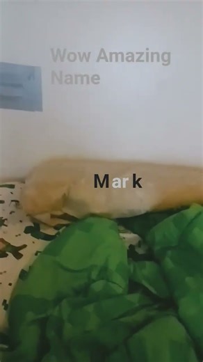 Not A Amazing Name I Lied