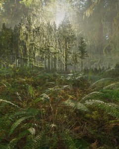 The Trump administration wants to make it easier to cut down national forests—and easier to hide it from us, too. Before the administration can move forward, a public comment period is mandatory. Please utilize this opportunity to speak up against clear-cutting our national forests. Comment deadline: Aug 12. | The Wilderness Society