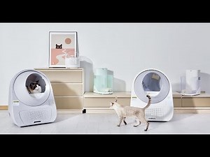 Young: CATLINK Automatic Cat Litter Box (Young)