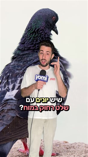 יונים עם שלט רחוק: חדשות ומידע מרתק