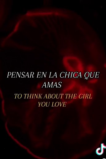 So Happy Together Lyrics Video | Song by The Turtles