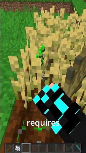 How To Never Replant Crops Again In Minecraft!