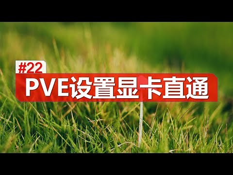 pve 设置 显卡直通 远程3d游戏不是梦 proxmox gpu passthrough