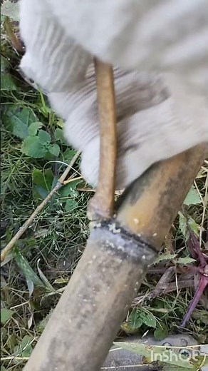 竹専用のこぎり: 刃の間隔が狭く、きれいに切れます。なた: 枝を払い落とす際に便利です。安全装備: ヘルメット、ゴーグル、防護手袋、作業靴など、安全を確保するための装備は必須です。 枝払いの方法と手順