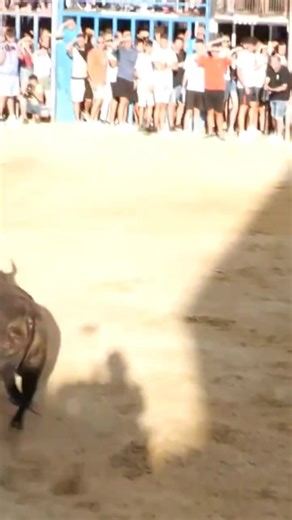 ULTIMO TORO #Toros #EMOCION #TORO #bullfighting #TorosTV #TOROSTV #TOROS | Toros TV