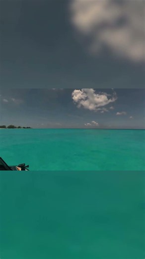 If you ever needed a reason to visit Bimini… 🌊☀️ #Bimini #Bahamas #BoatLife