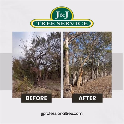J&J Tree Service on Instagram: "Before & After. Amazing what the right equipment and expertise can do. Clean, clear, and ready for what’s next."