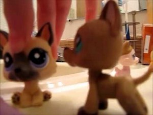 LPS a magical world of wolves and cougars [REMAKE] part 4 ( Lesson unlearned )