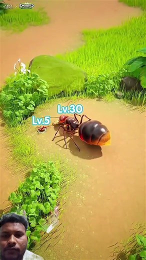 ants vs snake vs Lizard || #viralshort #games #gadgets #funnycartoon #funny #dinosaur