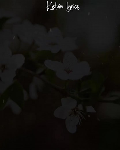 Heartfelt Sorry Challenge with Gospel Songs Lyrics Video