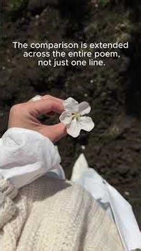 What REALLY is Conceit in Literature