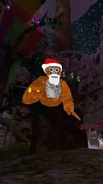 Different types of monkeys