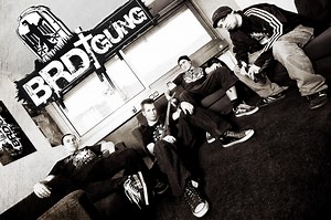 BRDigung