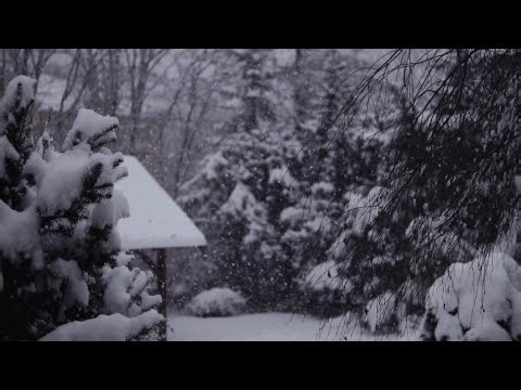 🔴 24/7 Live LOFI Beats: Chill Vibes & Deep Focus 🎧 | Ad-Free