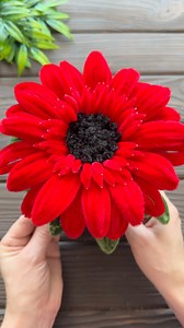 343K views · 9.7K reactions | Beautiful! Easy Flower from Chenille Stems DIY Craft Tutorial #flower #tutorial #craftidea #homedecor #diy #chenilleflowers #foryou #fyp | Easy Studio Crafts | Facebook