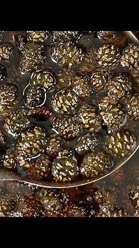 Pine Cone Jam Recipe 🌲
