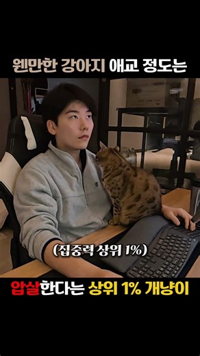 무뚝뚝한 집사 휘감는 요염한 개냥이