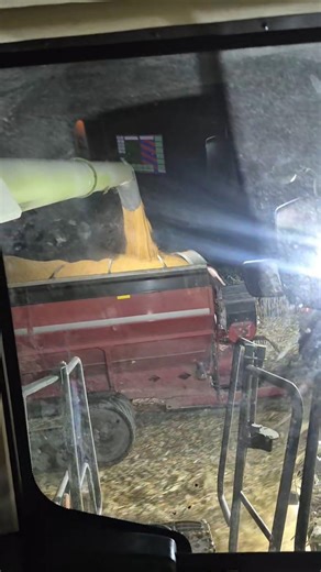 Take me back to the cab! #trending #class #pov #lexion #cornharvesting #corn #ytshorts #trending #yt