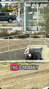 You’ve seen it before… The hoodie pulled tight. The blanket draped over the head. And maybe you thought they were just cold… or hiding. But it’s not Harry Potter’s invisibility cloak. It’s a shield. A way to block out the wind… and the world. To find just enough privacy to use. This is how addiction hides in plain sight. Pay attention. What looks like a blanket might be a cry for help. It’s not about staying warm. It’s about using. This is how addiction masks itself in plain sight. #AddictionAwa