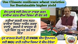 57K views · 3.3K reactions | #iiwbr #dwr #wheat #varieties #climateresiliencevarieties #mou ਵੱਧ ਝਾੜ ਲਈ ਗਰਮੀ ਨਾਲ ਲੜਨ ਵਾਲੀਆ ਕਿਸਮਾ ਵਾਲੇ ਪਾਸੇ ਹੋਲੀ ਹੋਲੀ ਵੱਧੀਏ, ਅਤੇ ਡਾਇਰੈਕਟਰ ਸਾਹਿਬ ਵੱਲੋ ਕਿਸਾਨਾ ਲਈ ਸੰਦੇਸ਼ | Mera Punjab Mera Kisan | Facebook