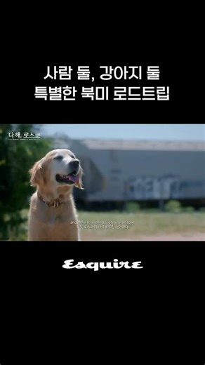 Daniel Henney (다니엘 헤니) | In 2022 we set out to make a little documentary about my boy Roscoe. With an incredible crew, across 8 states for 7 days we shot this... | Instagram