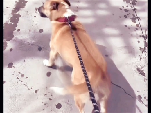 二娃：这条街（gai）我罩的