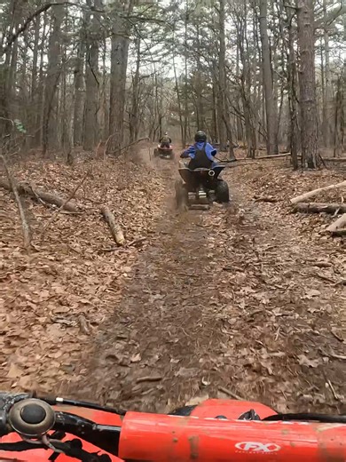 Thrilling ATV Adventures in the Ozark Woods