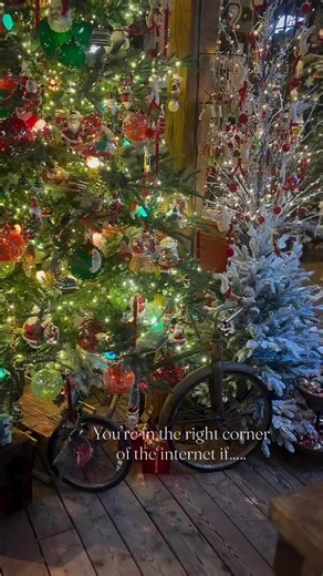 Shhhh…🤫🎄I’m gonna catch Santa! #favoritetimeofyear #santasonhisway #magicmoments 📍𝙎𝙝𝙖𝙠𝙚𝙨𝙥𝙚𝙖𝙧𝙚’𝙨 𝙂𝙖𝙧𝙙𝙚𝙣 25 𝙊𝙗𝙩𝙪𝙨𝙚 𝙍𝙤𝙖𝙙 𝙎𝙤𝙪𝙩𝙝 𝘽𝙧𝙤𝙤𝙠𝙛𝙞𝙚𝙡𝙙, 𝘾𝙤𝙣𝙣𝙚𝙘𝙩𝙞𝙘𝙪𝙩 🕰️ 𝙈-𝙎𝙖𝙩 8-5 𝙎𝙪𝙣 9-5 ☎️ (203) 775-2214 . . . #holiday #christmas #deckthehalls #jinglealltheway #tiptoe #christmastree #nostalgia #memories #connecticut #newengland #makingmagic #sgct❤️ #shakespearesgardenct | Shakespeare's Garden