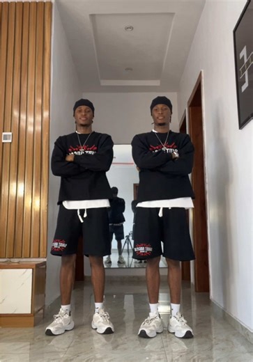 Exploring Twins Lifestyle: A Unique Perspective