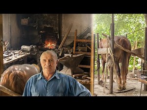 Blacksmith Hot Shoeing and Making a Horseshoe