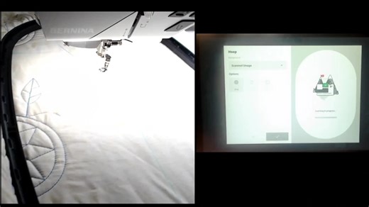 Bernina B990 Scan Feature for Edge-to-Edge Quilting: The Clean Scan +