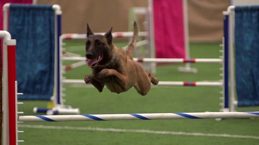 Agility in Slow Motion