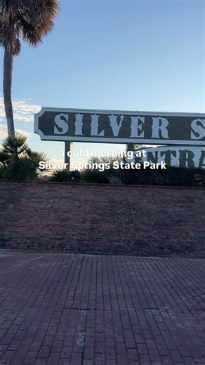 ALL THE WILDLIFE WERE OUT 🥰🥰🥰 → SILVER SPRINGS STATE PARK is one of the WILDEST springs we have!! With MANATEES, ALLIGATORS and even MONKEYS 🐒 → Visiting the springs in the WINTER TIME is the BEST time to see wildlife!! Especially when you go first thing in the morning 🤩🤩🤩 🎟️ Silver Springs State Park 📘 Florida Springs Passport | Volume 1 #floridasprings #flsprings #silverspringsstatepark #manateeseason | Florida Springs Passport