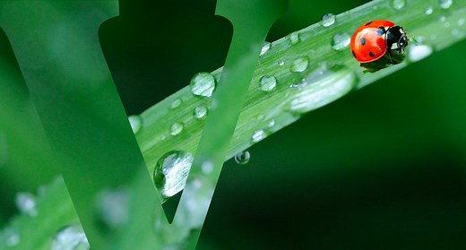 Source de Vittel | Minéralisation de l'Eau | Vittel France