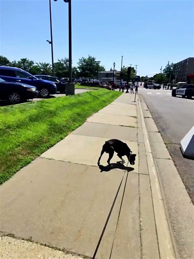 The Hopkins Raspberry Festival the beginning.