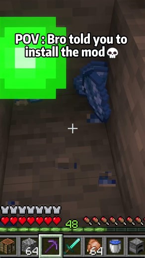 POV : Bro told you to install the mod💀