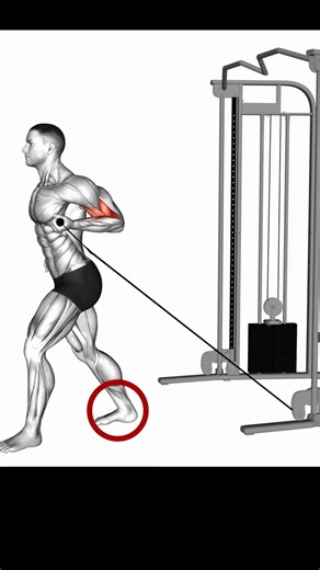 Best Exercise For Building Bigger Biceps#shorts