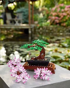 Word ook helemaal zen met de Bonsai boom uit de Botanical Collection 🌸 Vanaf nu verkrijgbaar: https://lego.build/BonsaiTreeReveal | LEGO