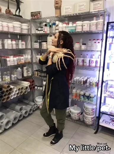 #FaceHugger pet #facehuggerattack #alien