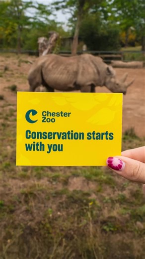 One zoo. Endless adventures. Every ticket to Chester Zoo opens up a world of wild wonder, and directly supports our vital conservation work across the globe. | Chester Zoo