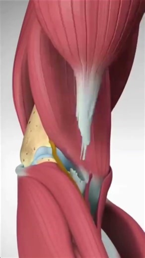 Ram mere saath mei 😱 #shorts #motivation #viralvideo #ytviral #bodybuilding #trending #like