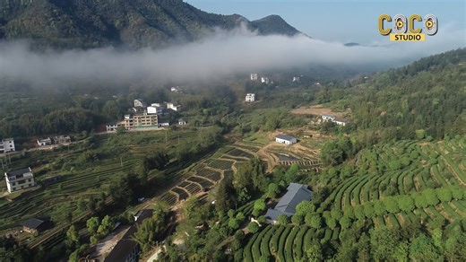 Au sud de la province du Jiangxi, dans le comté de Shangyou, un village a su transformer des terres autrefois peu productives en un jardin de thé intelligent et moderne. Soutenue par la dynamique du développement vert et du redressement rural, cette transformation illustre comment une communauté rurale redonne vie à son territoire, tout en construisant un avenir durable et prospère pour ses habitants. Une histoire de résilience, d’innovation et d’harmonie avec la nature. #Shangyou #Jiangxi #Chin