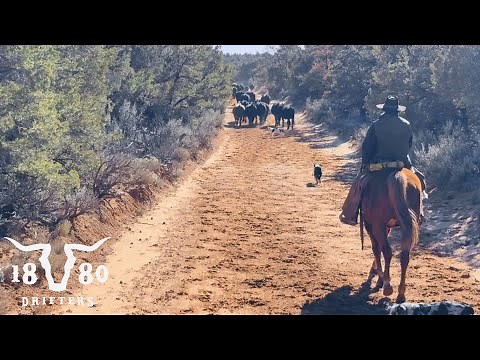 First Pasture Move On The Desert. Winter Is here!