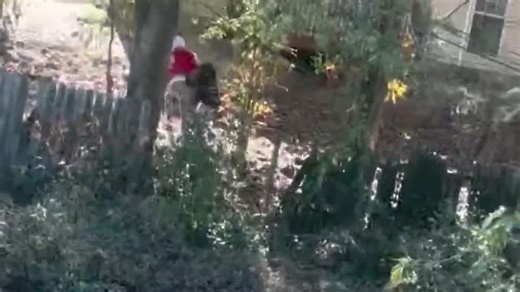 RAW: Persons of interest in man's killing