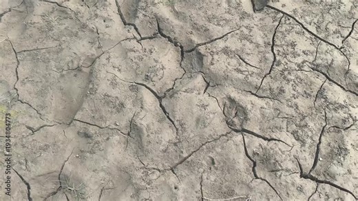 Close up view of cracked soil surface with large number of deep fissures formed during moisture drying. Natural drought texture background showing arid land, climate change impact and water scarcity