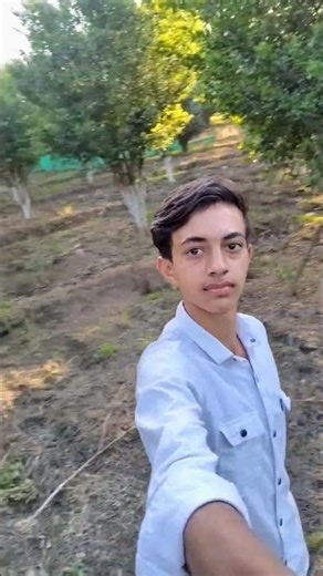 jarry tamatos ke trees #viral #minivlog #vlog #shortvideo #trending #shorts #farming