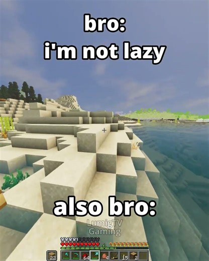 when your lazy friend install mods in minecraft...