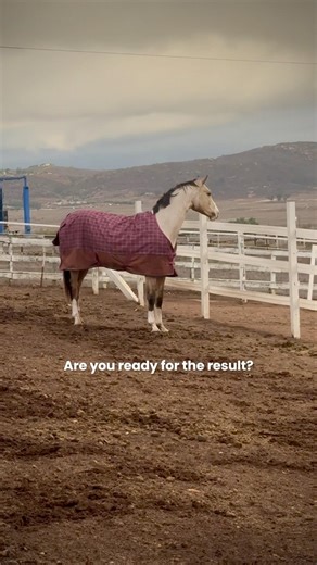 POV: you book a professional photoshoot for your horse